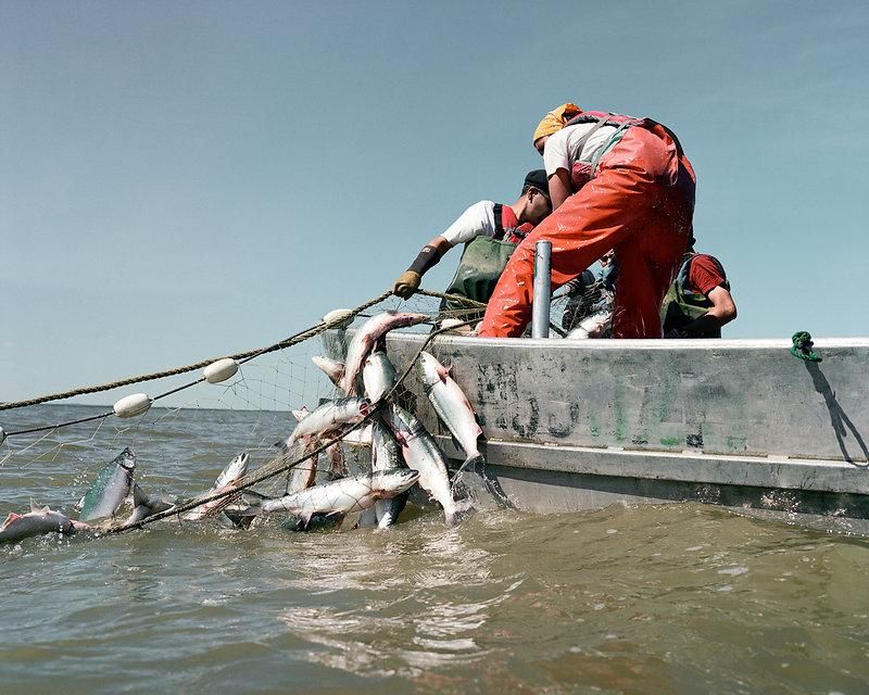 Fisherman Photographer Corey Arnold 